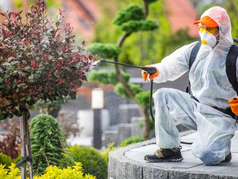 Elmadağ Haşere İlaçlama